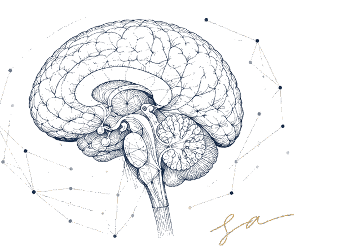 A side-profile anatomical brain overlaid with a faint knowledge network